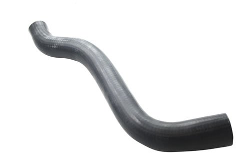 Bottom Hose - Radiator