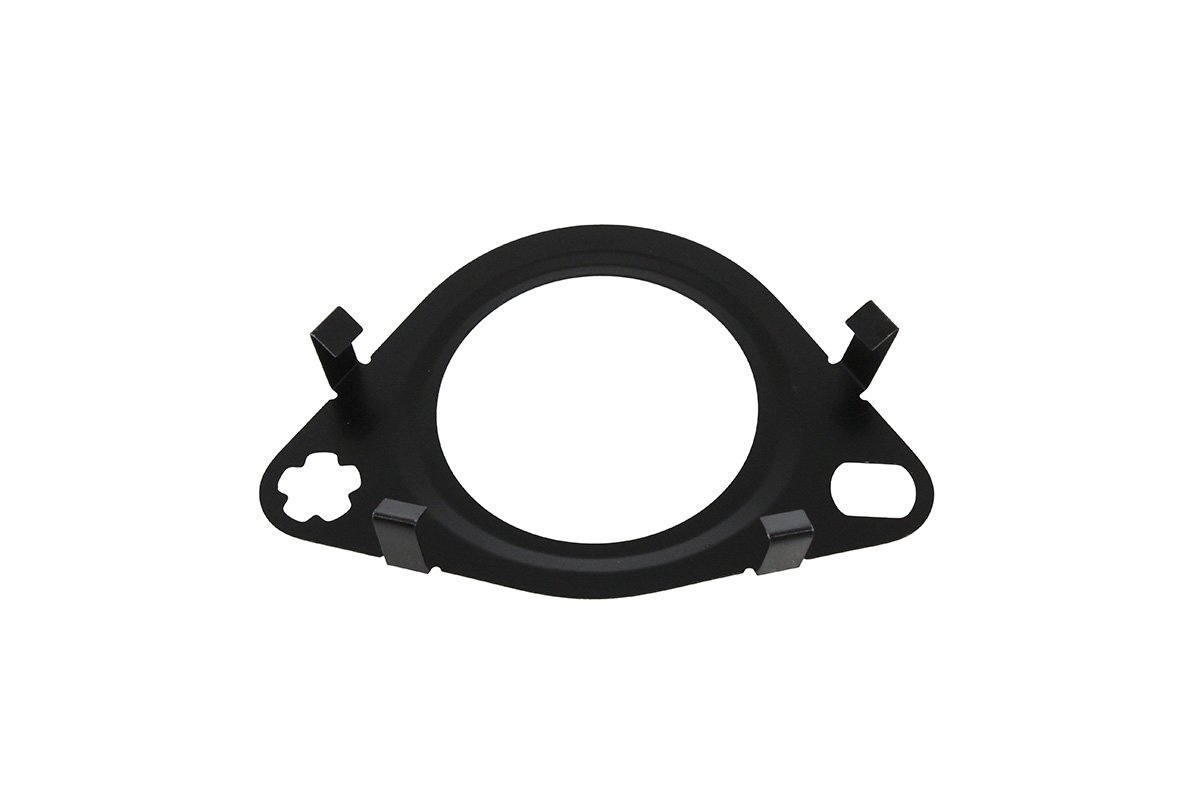 Gasket - Egr Outlet