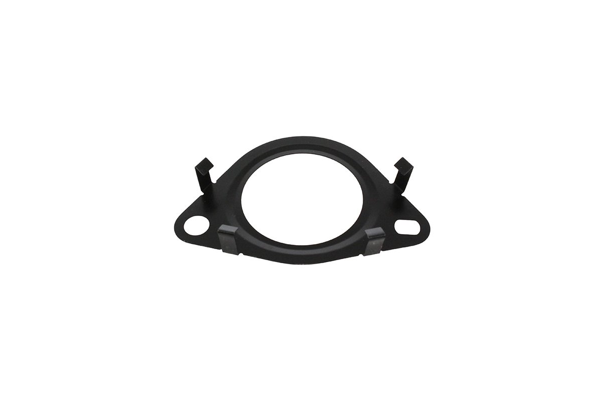 Gasket - Egr Inlet